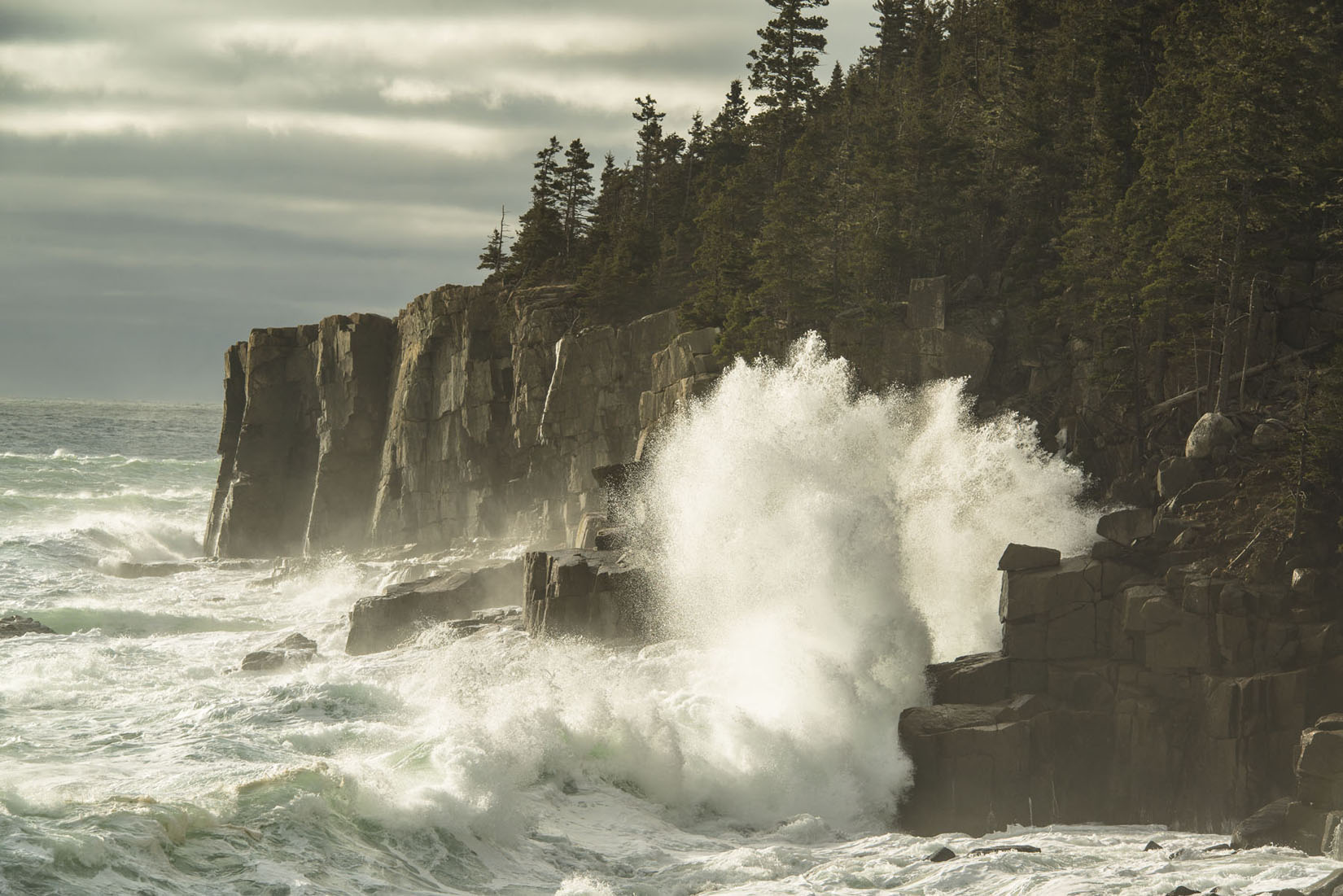 Acadia Centennial_TB_MDI_201303-415