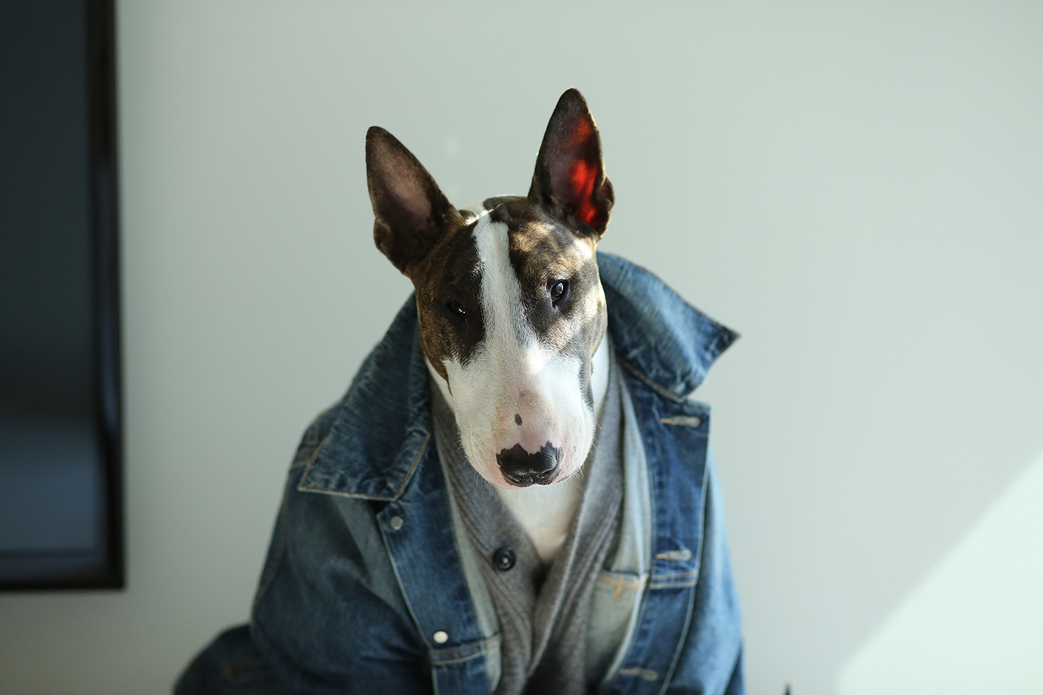 NevilleJacobs1 NevilleJacobs1